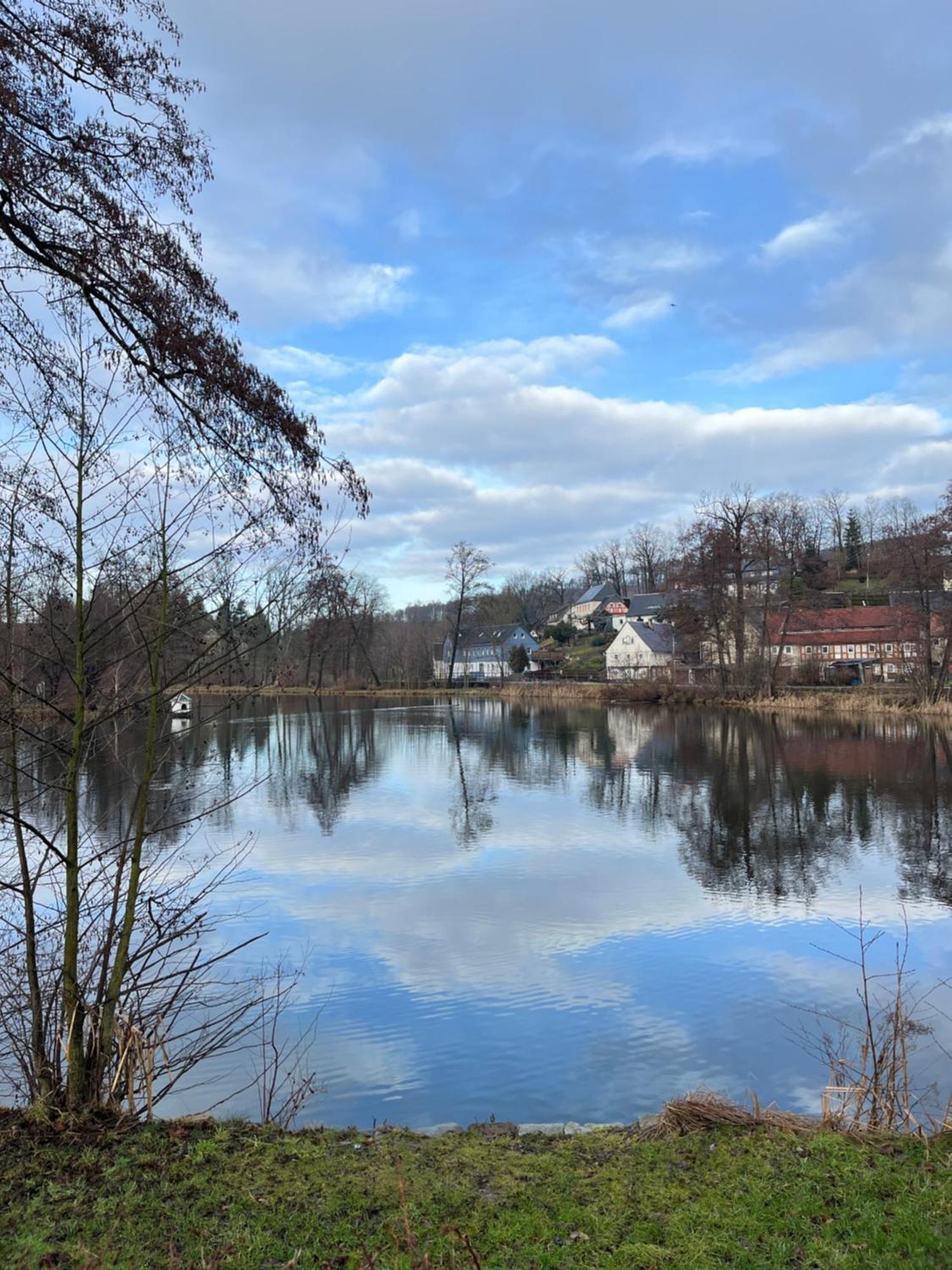 Ferienwohnung Idyll Am Weigsdorfer Teich Cunewalde Luaran gambar